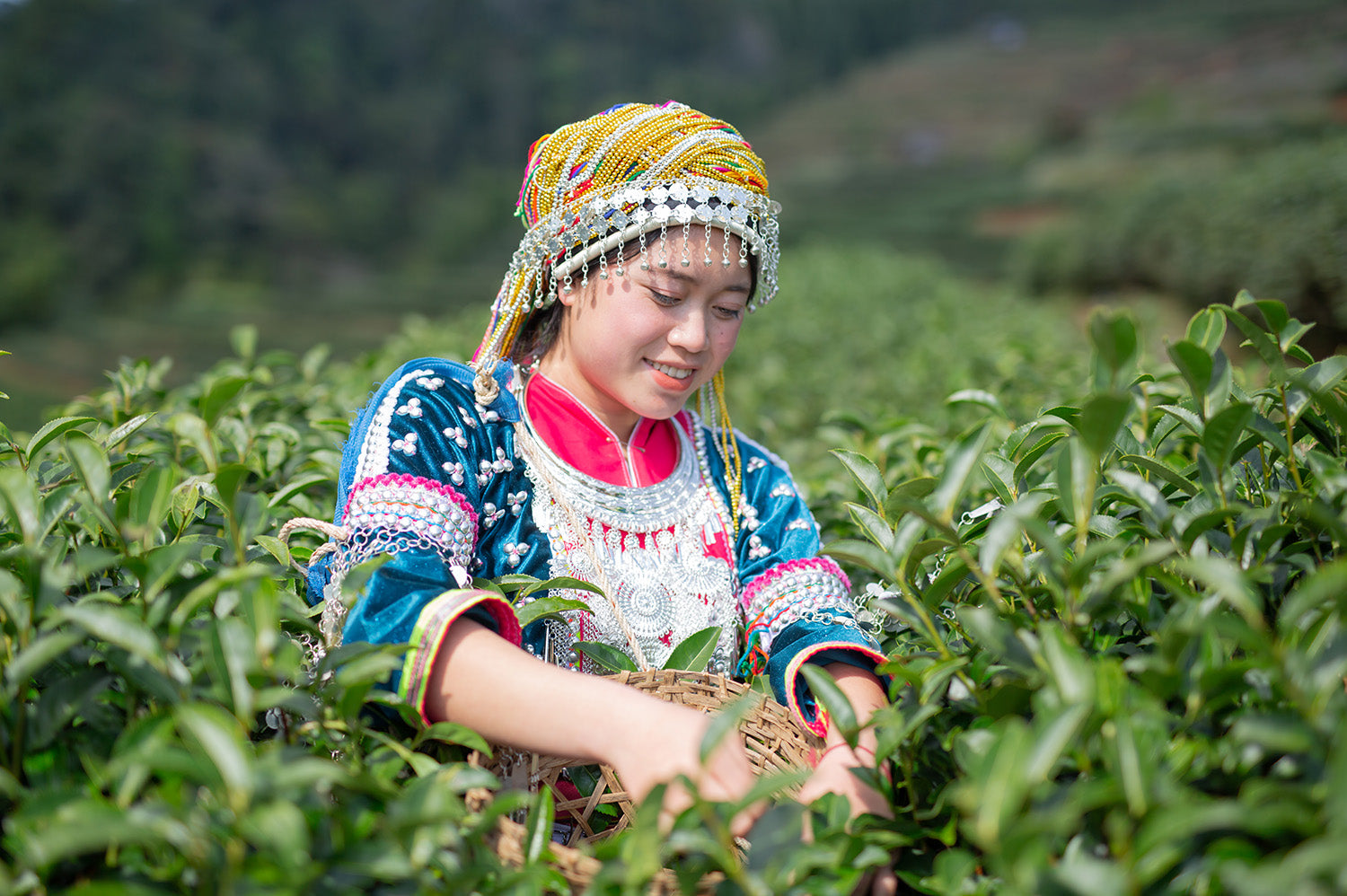JWP_Tea_Pouch-3_d9e93369-5f75-419c-9f3d-758297369728.jpg